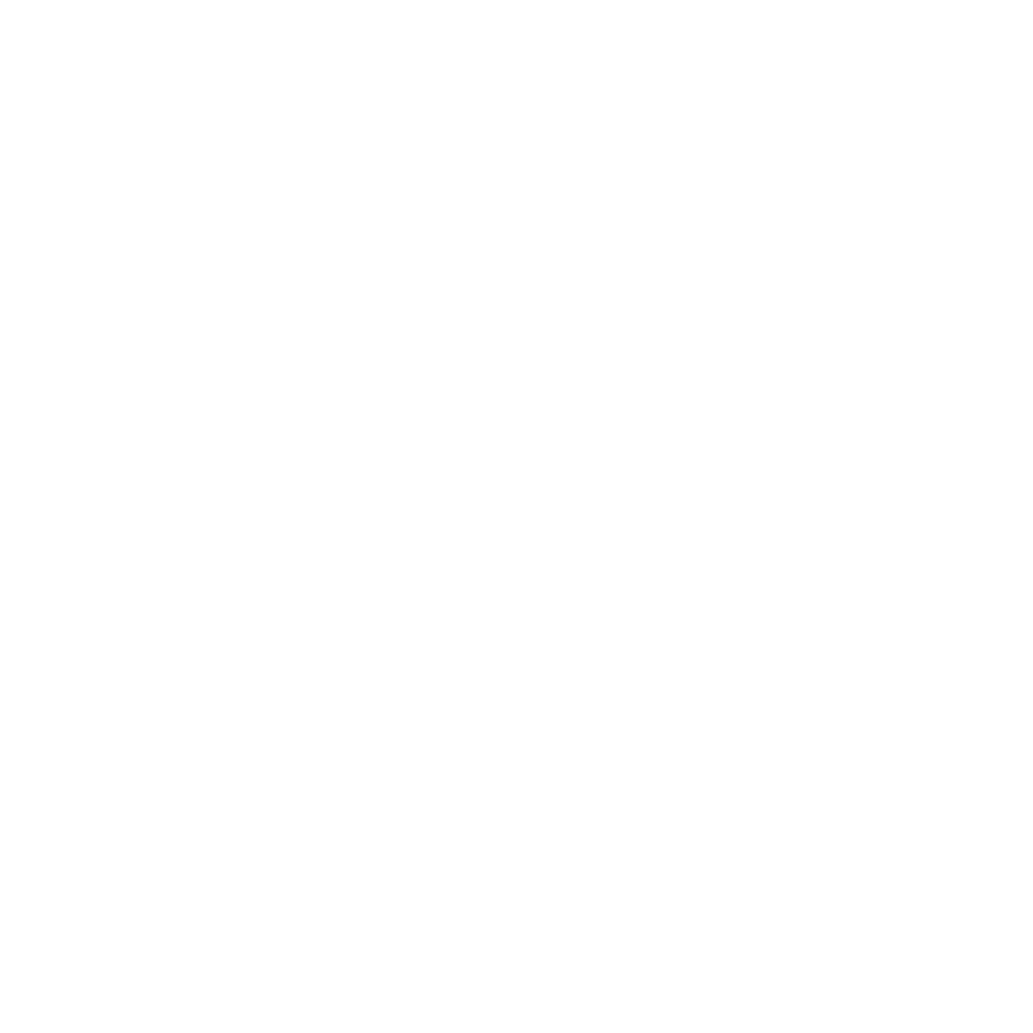 Integración socioeconómica